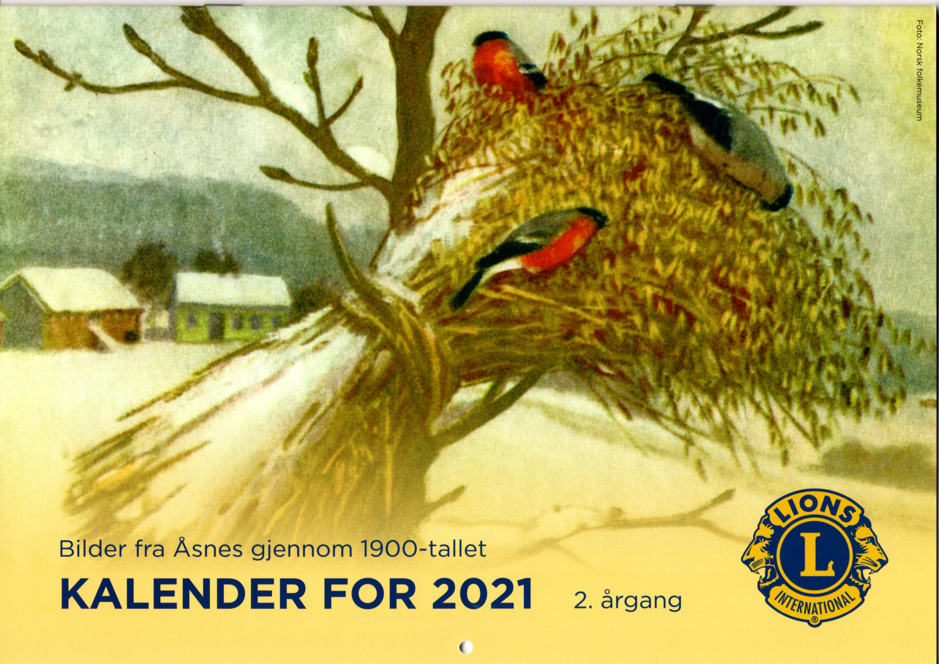 Åsnes kalenderen 2021